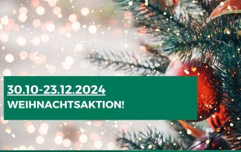 Hausmann Umzüge Weihnachtsaktion Umzugskartons geschenkt